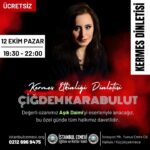 17903671674263368_istanbul_cemevi