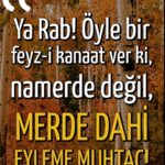 17936262116999070_istanbul_cemevi