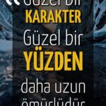 17984007320942093_istanbul_cemevi