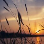 18075623642527857_istanbul_cemevi